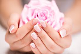 Lorem ipsum dolor sit amet, consectetur adipiscing elit. Phasellus quis elementum odio. Curabitur pellentesque, dolor vel pharetra mollis.