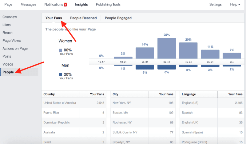 analysing follower demographics