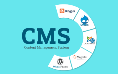 The best website builder / Content management system ( CMS )in South Africa. 