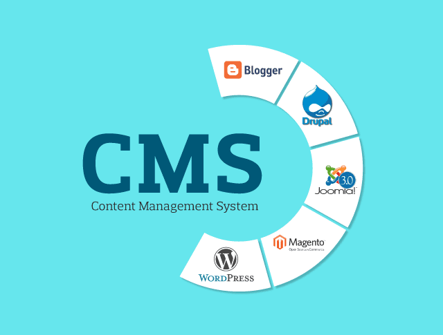 The best website builder CMS in South Africa. 