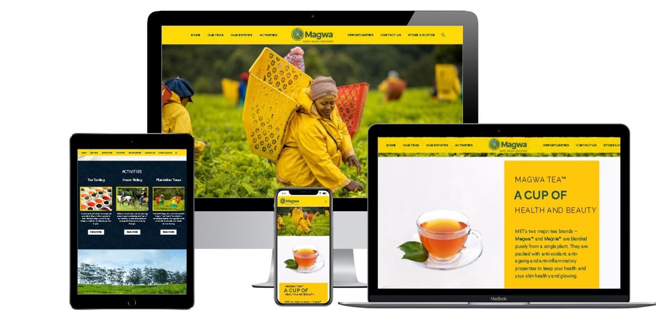 Premium -web design package