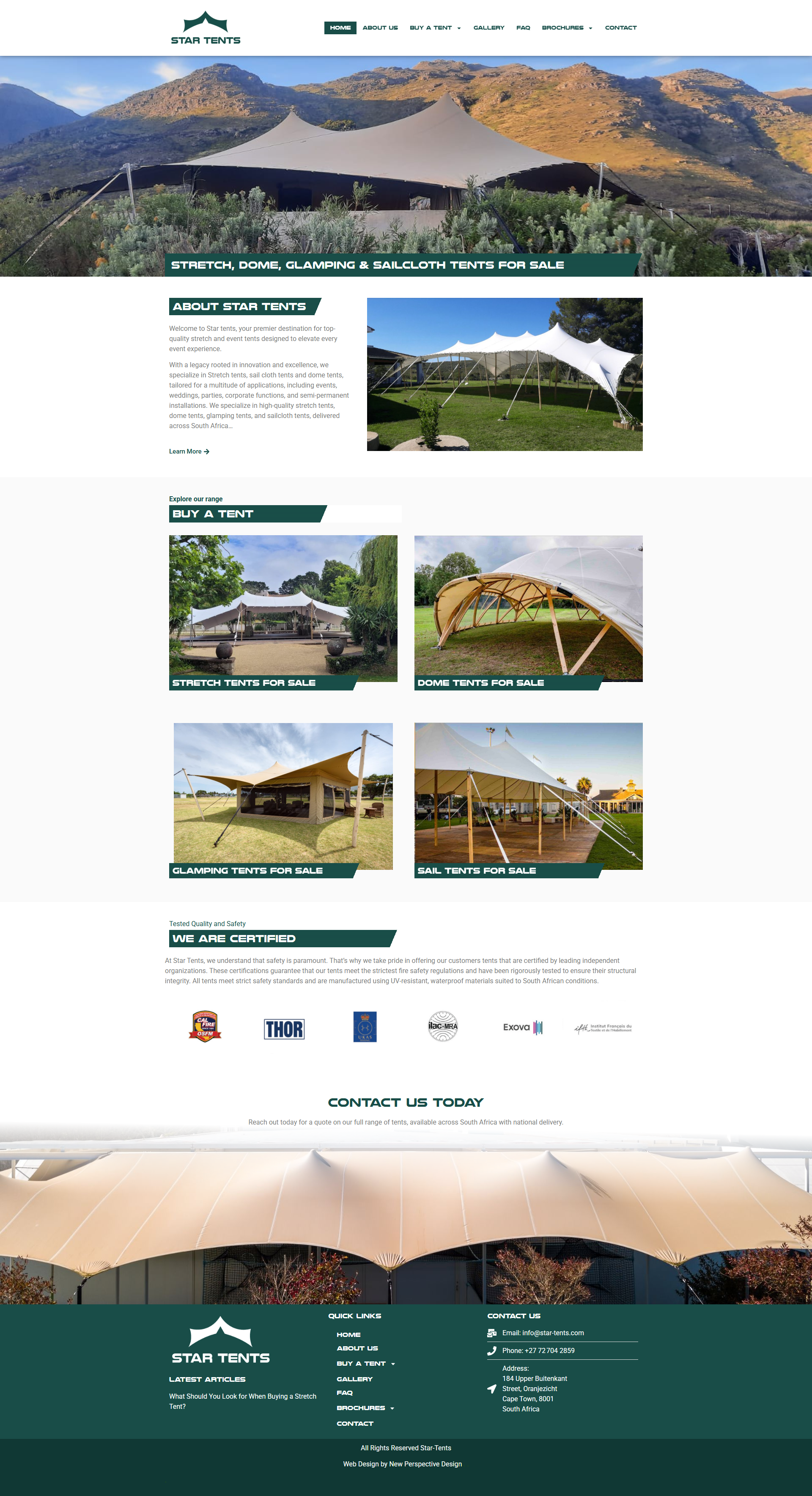 Foscused search entity website design seo