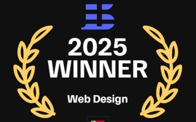 New Perspective Studio Wins Three TechBehemoths 2025 Awards — Back-to-Back National Recognition