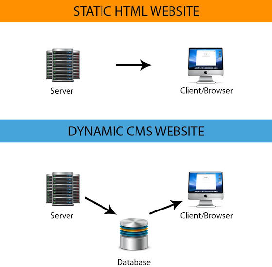 Static HTML files from an AI website builder compared with a content management system